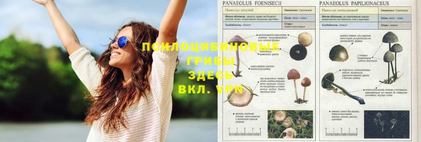 круглые Алексеевка