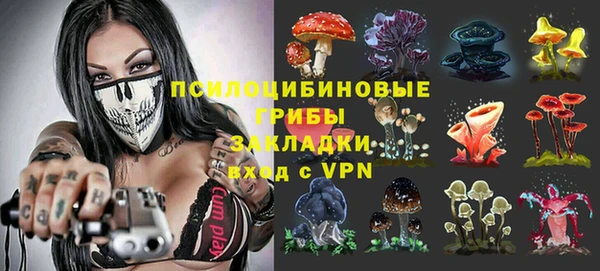 кокс Алзамай