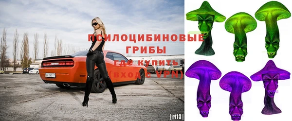 круглые Алексеевка