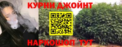 ешки Новодвинск