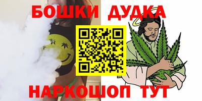 ешки Новодвинск