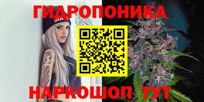 spice Обнинск